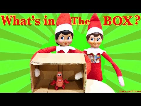what's-in-the-box-!!-elf-on-the-shelf-day-9-!-🎄