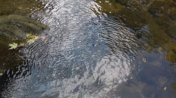 Mavic 2 Pro Flying Low Over Water