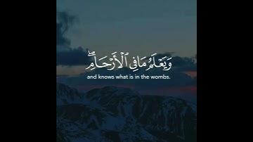 تلاوة القرآن #تلاوة #القرآن