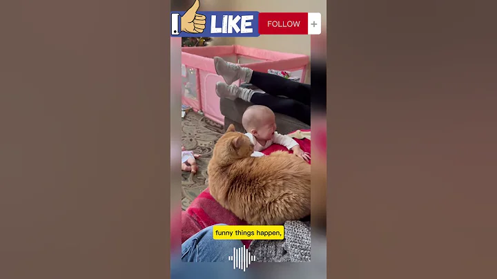 Watch the video about Funny video cat vs baby 🤗