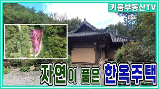 [원주키움부동산-219] 원주 신림면 금창리 숲속에 둘러싸인 아름다운 한옥풍 전원주택