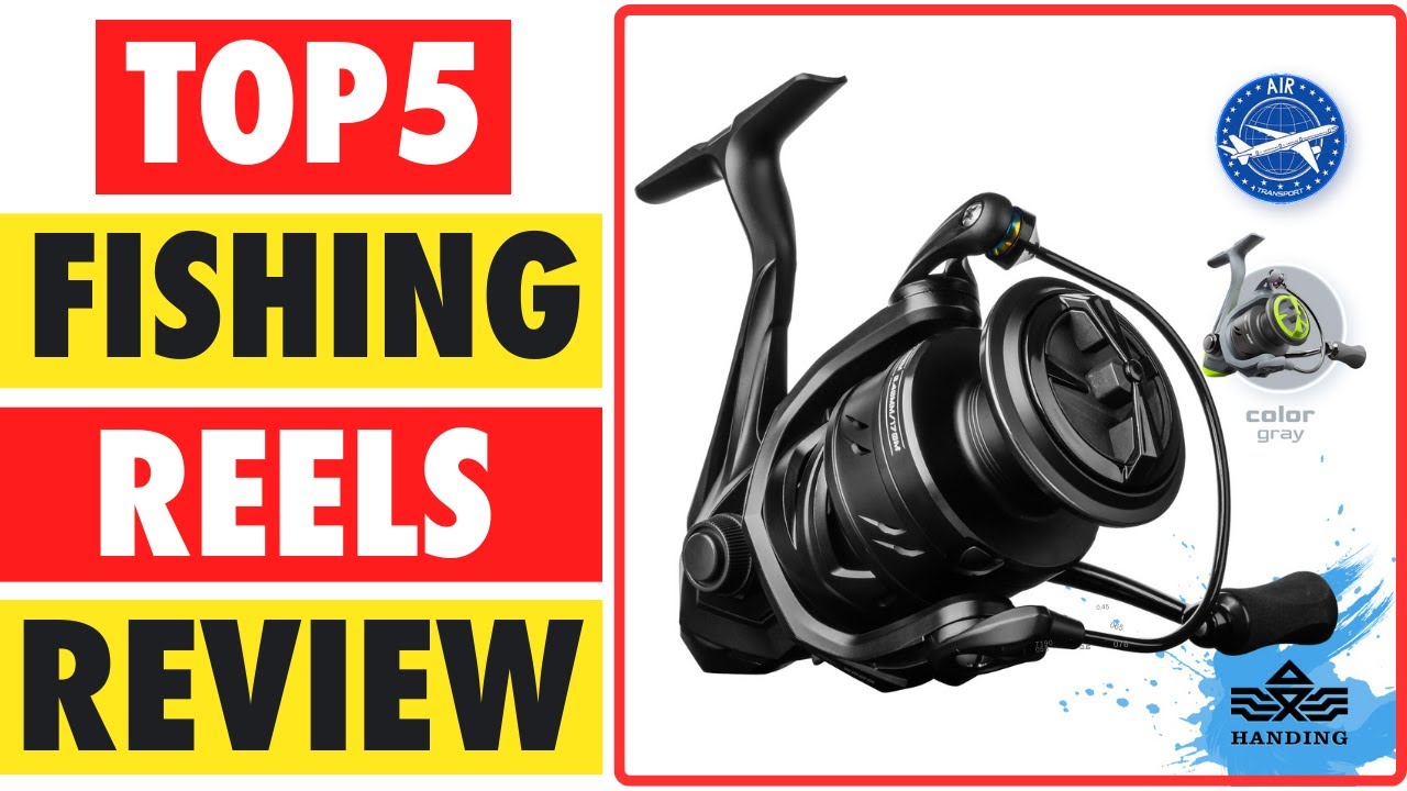 Top 5 Best Fishing Reels In 2024 - YouTube