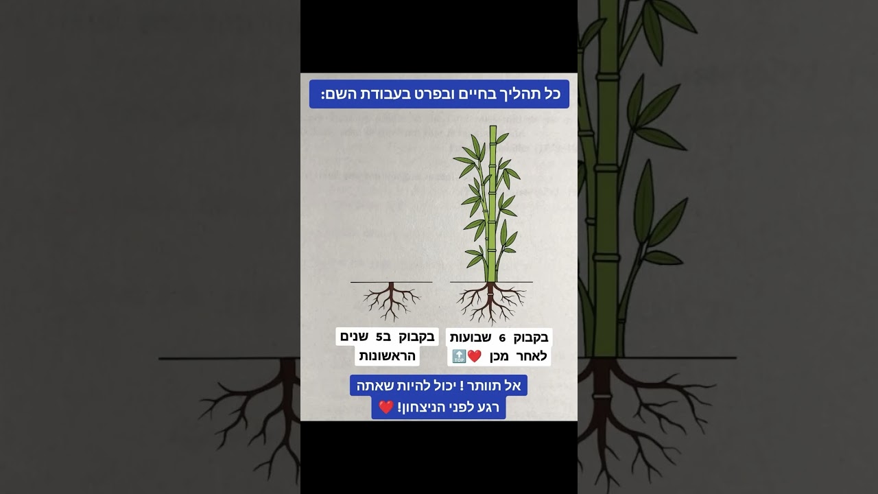 Uploads from L'Hita'aneig B'Ahavatecha
