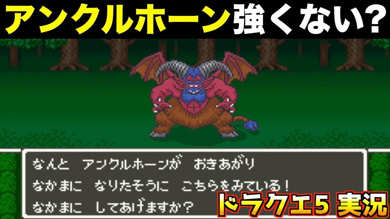 My luck with monster companions is amazing lol [Dragon Quest 5