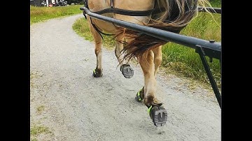 Scoot boots in action