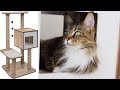 Our Top 4 Favorite Cat Tree Companies