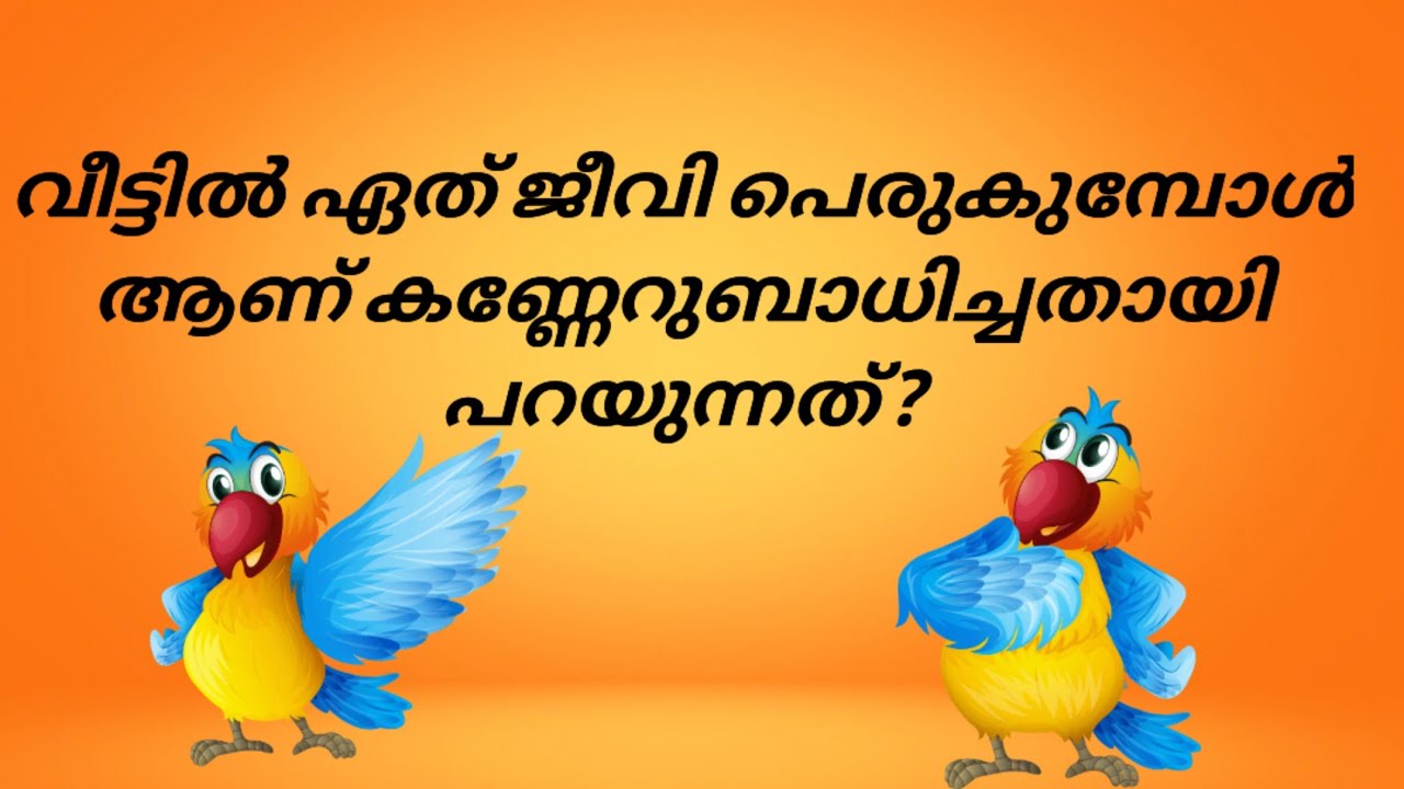 General Knowledge /Psc/പൊതുവിജ്ഞാന ചോദ്യങ്ങൾ/Questions&Answers