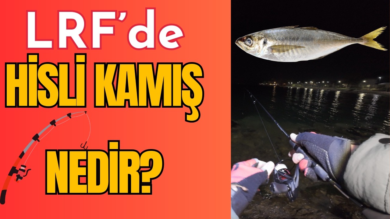 LRF de HİSLİ Kamış NEDİR? | LRF İLE İSTAVRİT AVI