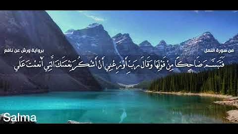 آيات قصيرة من القرآن الكريم ولقد آتينا داوو وسليمان علما ..القارئ حمزة بوديب