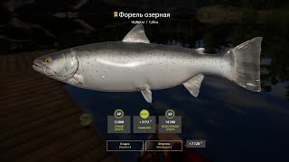 Русская рыбалка 4 Трофейная озёрная форель Озеро Куори с берега 