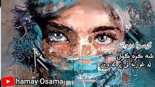 #خوشترین گورانی #کیسرا دیوانه 🤕له غوربه تی پر ئه وین#