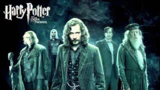 Harry Potter Theme (Metal)