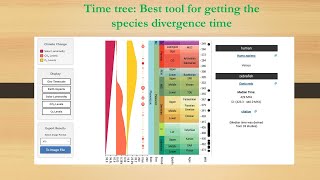 Timetree: Determining the Divergence time of species