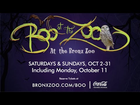 Video: Boo i Bronx Zoo: Halloween-aktiviteter