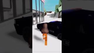 I ENDED UP IN BROOKHAVEN JAIL! 😡 Net Worth