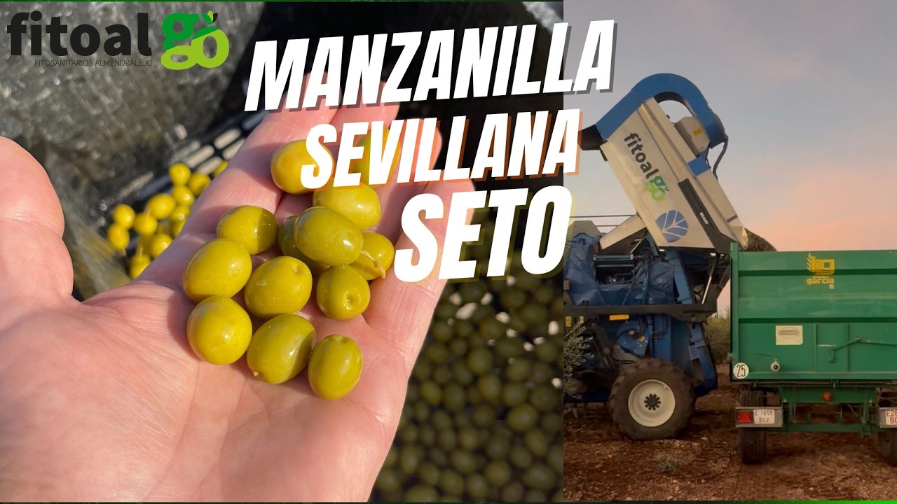 www fitoal com Vídeo para Facebook