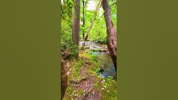 _القرآن الكريم_ ماتيسر _من سورة مريم كسبلور#اللهم صل وسلم وبارك على نبينا محمد