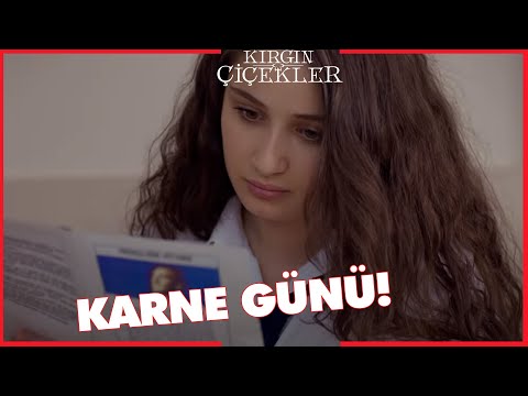 Kırgın Çiçekler Özel Kısa Bölümler | 164