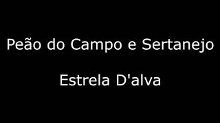Peão do Campo e Sertanejo - Estrela D&#39;alva