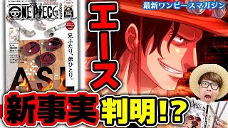 One Piece Magazine Vol 8 電子書籍版 尾田栄一郎 Gapless