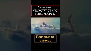 #ченнелинг #ангелыхранители #космос #светлаядуша #выходизматрицы #посланиеангелов