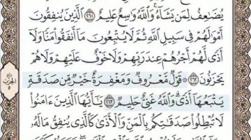 الصفحة الرابعة و الأربعون ( 44/604) محمد المنشاوي - الختمة المرئية بالصفحات للقرآن الكريم