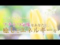 プチうつ気味なあなたに、癒しと、エネルギーを【ベストセレクション】
