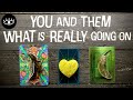 ⭐️💖You & Them💖⭐️What is REALLY going on in this RELATIONSHIP? Pick a Card Love Soulmate Twin Flame