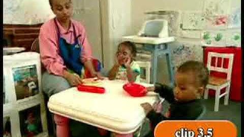 CSEFEL 3.5 Observing challenging behaviour