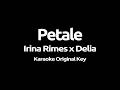 Irina Rimes x Delia - Petale (Karaoke)
