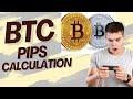 Hindi : BTC Bitcoin - Calculate pips & Lot size in Crypto