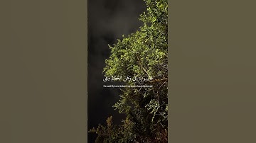 {وَلَمْ أَكُنْ بِدُعَائِكَ رَبِّ شَقِيًّا} سورة مريم القارئ : شريف مصطفى 🍂