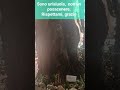 Как выучить итальянский язык | Итальянский онлайн
