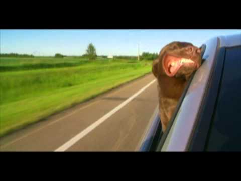 Direct AC - YouTube