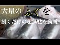 魚.2#さばき方 #魚 #ふぐ