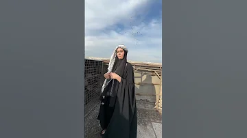 صرت مطيرجية بالعراق Foryou اكسبلور Pigeon حمام Kabootar طيور Birds متابعه Kabutar صيد 