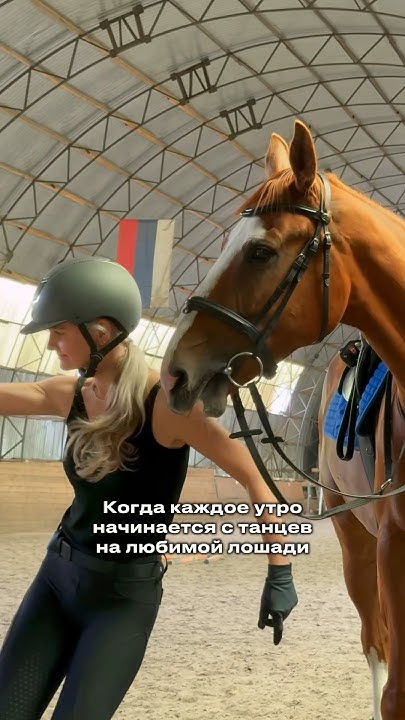 Зато зарядка не нужна😎 #лошади #horses #equestrian #конкур # ...