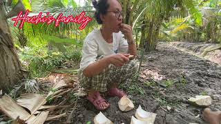 #vlogdailylife#countryside#về nhà Nội và nhà Cố, cây cối rau dại vườn dừa vườn chuối mọc chen chúc