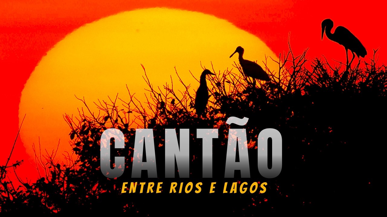 Onde o Cerrado vira Amazônia | Parque Estadual do Cantão | Documentário