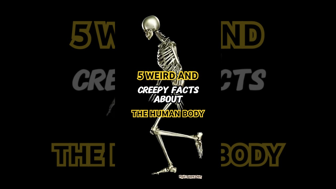 5 Weird and Creepy Facts About the Human Body You Won’t Believe