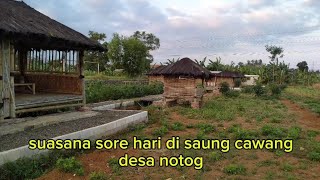 suasana sorehari di saung cawang desa notog@nadirriyanto3693
