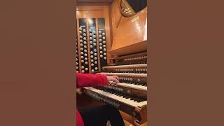 Pachelbel meets How to Train your Dragon, on the organ of the Royal Albert Hall!