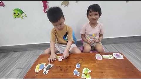 Tiếng Anh Giao Tiếp Thiếu Nhi Tại Phan Thiết: Bee and Gum practice talking about Insects