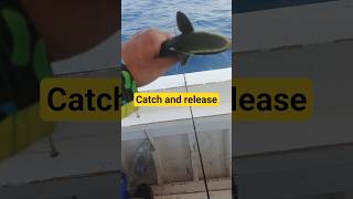 Catch and release