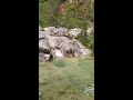 TURISMO en VALENCIA. Aventura por el cauce del rio FRAILE - BICORP