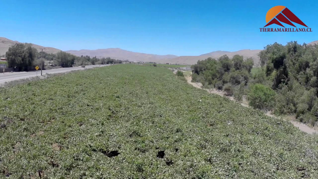 Tierra Amarilla se levantará junto Atacama