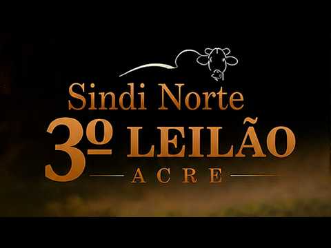 Miniatura do Lote 26