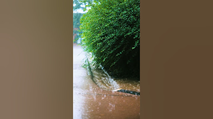 🌧️ Rainy Days At Peru State 🌧️
