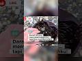 Belangkas: Hewan Purba yang Hidup 450 Juta Tahun | PART 1 #animals