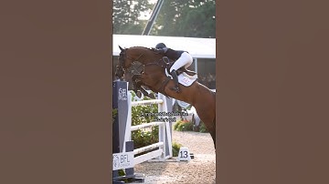 Jumping a 1.50m with no stirrup 😲#equestrian #equestrianvibes #showjumping #showjumper #horserider